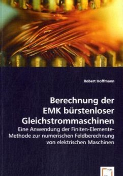Berechnung der EMK bürstenloser Gleichstrommaschinen - Hoffmann, Robert