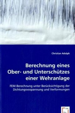 Berechnung eines Ober- und Unterschützes einer Wehranlage - Adolph, Christian