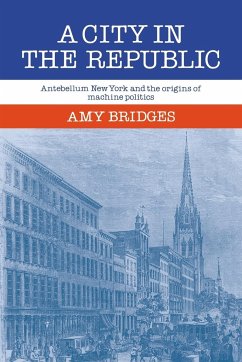 A City in the Republic - Bridges, Amy