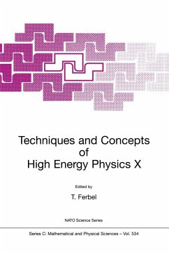Techniques and Concepts of High Energy Physics X - Ferbel, Thomas (Hrsg.)