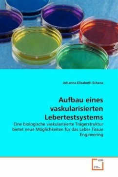 Aufbau eines vaskularisierten Lebertestsystems - Elisabeth Schanz, Johanna