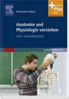 Anatomie und Physiologie verstehen - Gehart, Rosemarie