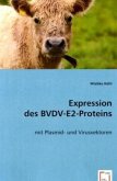 Expression desBVDV-E2-Proteins