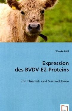 Expression desBVDV-E2-Proteins - Köhl, Wiebke