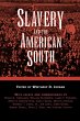 Slavery and the American South - Bild 1