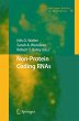 Non-Protein Coding RNAs - Bild 1