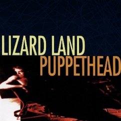 Cover Lizard Land