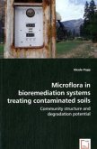 Microflora in bioremediation systems treating contaminatedsoils