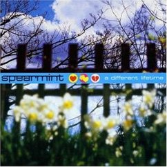 A Different Lifetime - Spearmint