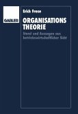 Organisationstheorie
