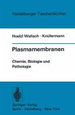 Plasmamembranen