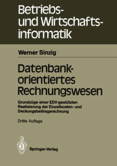 Datenbankorientiertes Rechnungswesen - Sinzig, Werner