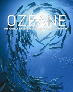 Ozeane - Gilpin, Daniel