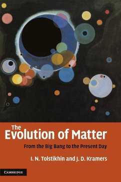 The Evolution of Matter - Tolstikhin, Igor; Kramers, Jan