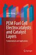 PEM Fuel Cell Electrocatalysts and... - Bild 1