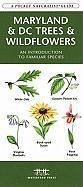 Maryland & DC Trees & Wildflowers - Kavanagh, James; Waterford Press