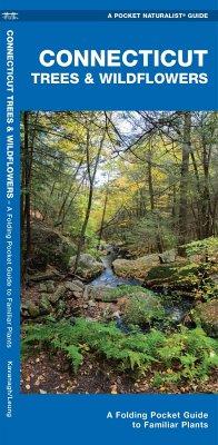 Connecticut Trees & Wildflowers - Kavanagh, James; Waterford Press