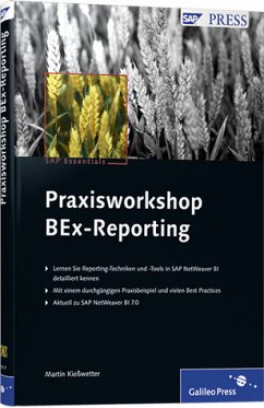 Praxisworkshop BEx-Reporting - Kießwetter, Martin; Arrenbrecht, Alex; Kertzel, Sascha