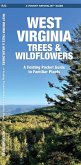 West Virginia Trees & Wildflowers