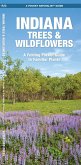 Indiana Trees & Wildflowers
