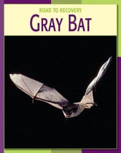 Gray Bat - Gray, Susan H