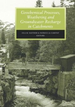 Geochemical Processes, Weathering and Groundwater Recharge in Catchments - Saether, Ola M; Saether; Caritat, Patrice De