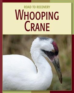 Whooping Crane - Gray, Susan H