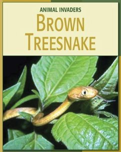 Brown Treesnake - Somervill, Barbara A