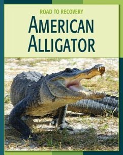 American Alligator - Gray, Susan H