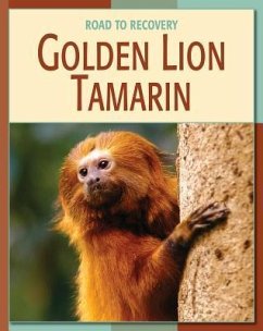Golden Lion Tamarin - Somervill, Barbara A