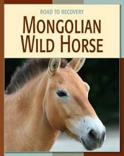 Mongolian Wild Horse - Gray, Susan H