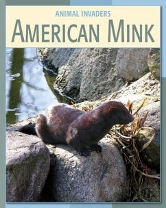 American Mink - Gray, Susan H