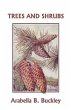 Trees and Shrubs (Yesterdays Classics) - Bild 1
