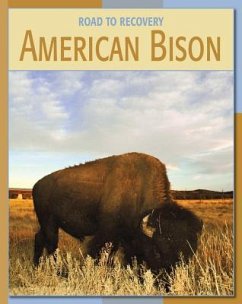 American Bison - Somervill, Barbara A