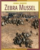 Zebra Mussel