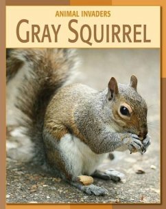 Gray Squirrel - Somervill, Barbara A