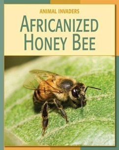 Africanized Honey Bee - Somervill, Barbara A