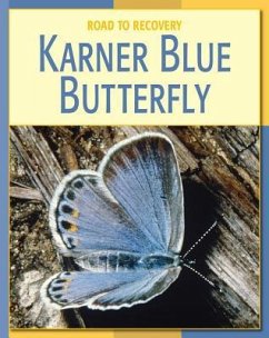 Karner Blue Butterfly - Gray, Susan H