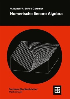 Numerische lineare Algebra - Bunse-Gerstner, Angelika