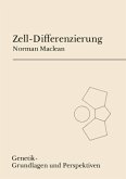 Zell-Differenzierung