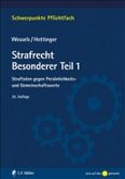 Strafrecht Besonderer Teil / 1