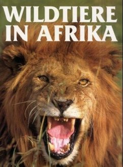 Wildtiere in Afrika