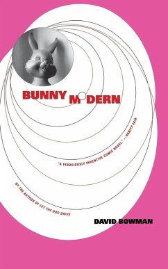 Cover Bunny Modern