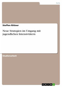 Neue Strategien im Umgang mit jugendlichen Intensivtätern - Rittner, Steffen