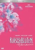 Kirschblüten - Hanami Special Edition