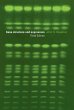 Gene Structure and Expression - Bild 1