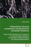 Schlussleisten (Zonulae occludentes)und biochemisch verwandte Strukturen