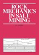 Rock Mechanics in Salt Mining - Bild 1