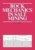 Rock Mechanics in Salt Mining