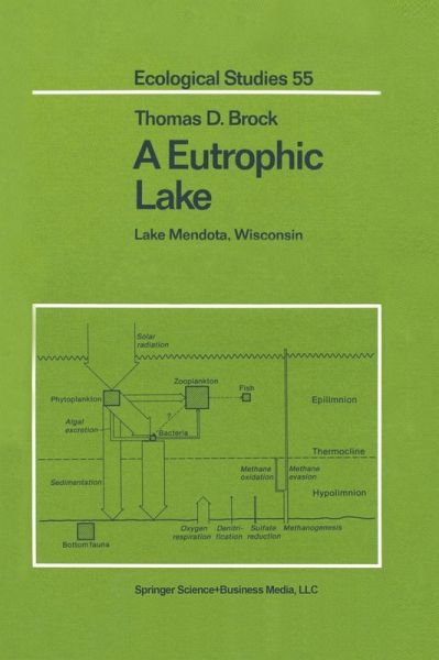 A Eutrophic Lake